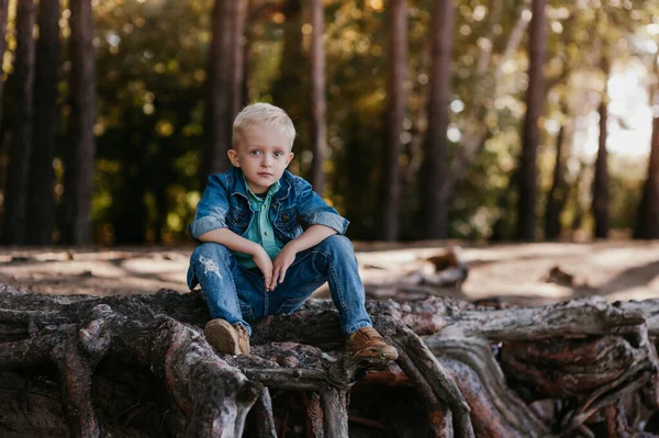 Retrato de un lindo niño de 3 años al aire libre en el parque de otoño — Foto de Stock