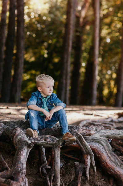 Aranyos kisfiú ül a nyári parkban. Szabadtéri portré. — Stock Fotó