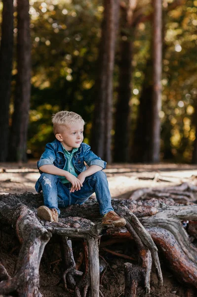Portrait of a cute little boy of 3 years old outdoor in the autumn park — Stock Photo, Image