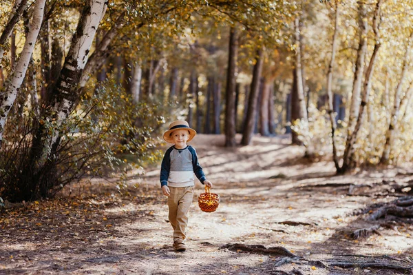 Stílusos fiú kalapban, kosárral. fiú a parkban egy kalapban egy kosárban ősszel — Stock Fotó