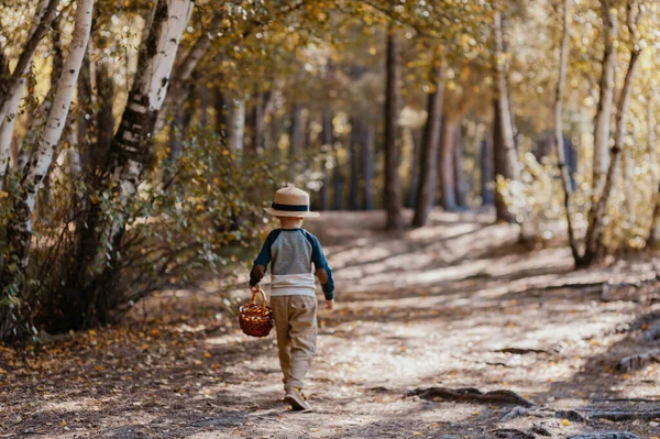 Stylish boy in a hat with a basket. boy in the park in a hat with a basket in autumn — ストック写真