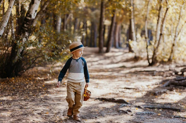 Niño con estilo en un sombrero con una cesta. niño en el parque en un sombrero con una cesta en otoño — Foto de Stock