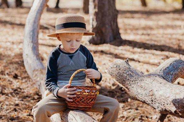 Stylish boy in a hat with a basket. boy in the park in a hat with a basket in autumn — Stock Photo, Image