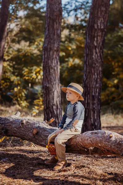 Stijlvolle jongen met een hoed en een mand. jongen in het park in een hoed met een mand in de herfst — Stockfoto