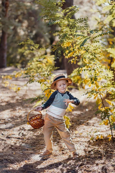 Niño con estilo en un sombrero con una cesta. niño en el parque en un sombrero con una cesta en otoño — Foto de Stock