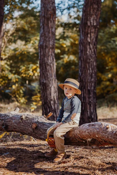 Стильний хлопчик у капелюсі з кошиком. хлопчик в парку в капелюсі з кошиком восени — стокове фото