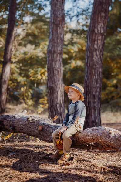 Rapaz elegante com um chapéu e um cesto. menino no parque em um chapéu com uma cesta no outono — Fotografia de Stock