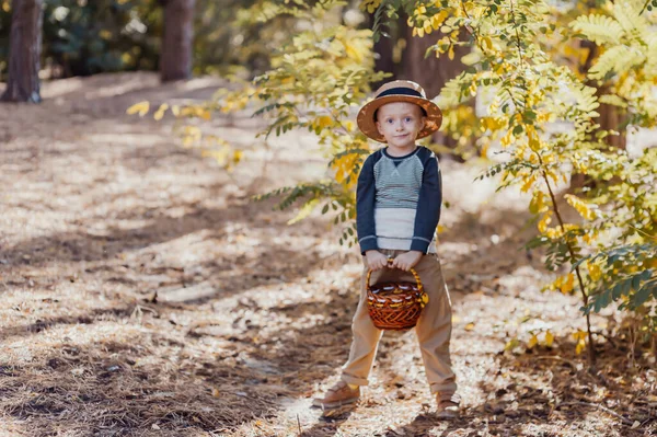 Rapaz elegante com um chapéu e um cesto. menino no parque em um chapéu com uma cesta no outono — Fotografia de Stock