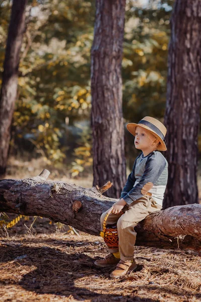Стильный мальчик в шляпе с корзиной. мальчик в парке в шляпе с корзиной осенью — стоковое фото