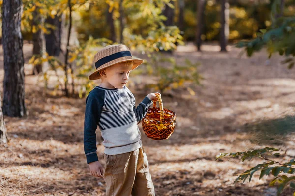 Niño con estilo en un sombrero con una cesta. niño en el parque en un sombrero con una cesta en otoño — Foto de Stock