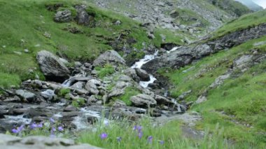 Dağlardaki yüksek bir şelalenin durağan, geniş, alçak açılı görüntüsü. Etraftaki kalın granit kayalıklar ve şelalenin dibindeki genç ekinler..