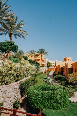 Palmiyeli lüks tatil köşkü