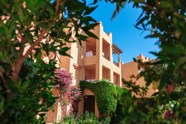 Villa de vacaciones de lujo con palmera — Foto de Stock