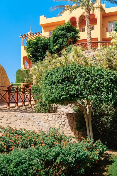 Luxury holiday villa with palm tree