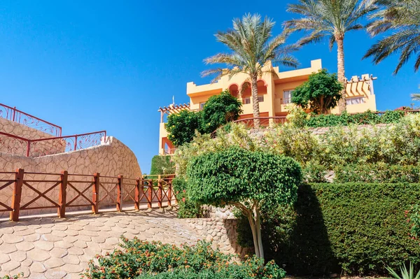 Luxury holiday villa with palm tree