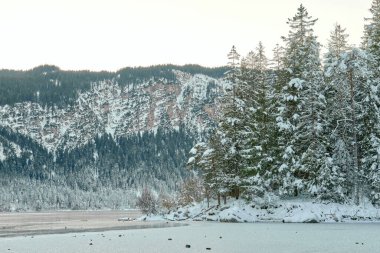 Zugspitze dağının eteğindeki donmuş Eibsee Gölü 'nün akşam manzarası, karla kaplı çam ağaçları ve karlı bir ormanla sakin bir kış manzarasını gözler önüne seriyor. Alacakaranlık Alp Harikalar Diyarı: Eibsee Gölü Karla kaplı Yansıtıyor