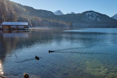 Huzurlu Kış Harikalar Diyarı: Donmuş Göl, Altın Sabah Donmuş Dağları Yansıtır. Buz gibi buzlu manzaralar, Kıtır Güneşli bir günde Alp Gölü 'nün nefes kesici güzelliğini yakalar. Bu büyüleyici görüntü, sakin bir kış manzarasını gözler önüne serer.