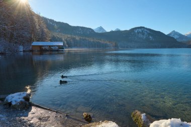 Huzurlu Kış Harikalar Diyarı: Donmuş Göl, Altın Sabah Donmuş Dağları Yansıtır. Buz gibi buzlu manzaralar, Kıtır Güneşli bir günde Alp Gölü 'nün nefes kesici güzelliğini yakalar. Bu büyüleyici görüntü, sakin bir kış manzarasını gözler önüne serer.