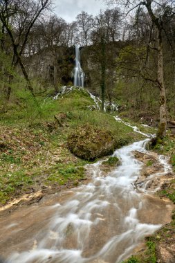 Lush Ormanı 'nda Şelale, Yosun kaplı kayalar, Hızlı Akıntı, Tahta Köprü, Serene ve Resim Atmosferi. Bu görüntü, merkezi bir şelalenin yosunlardan aşağı aktığı manzaralı bir ormanı yakalar.