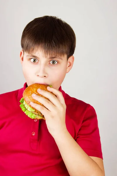 Hungriger Junge Mit Einem Hamburger — Stockfoto