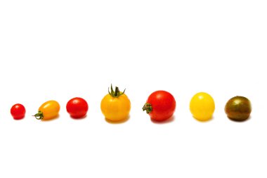 Beyaz arka plan üzerinde renkli farklı kiraz domates