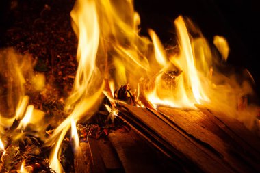 Alev yanan odun yığınları.