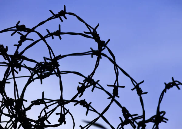 Silhouette Von Stacheldraht Vor Blauem Himmel Auf Dem Hintergrund — Stockfoto