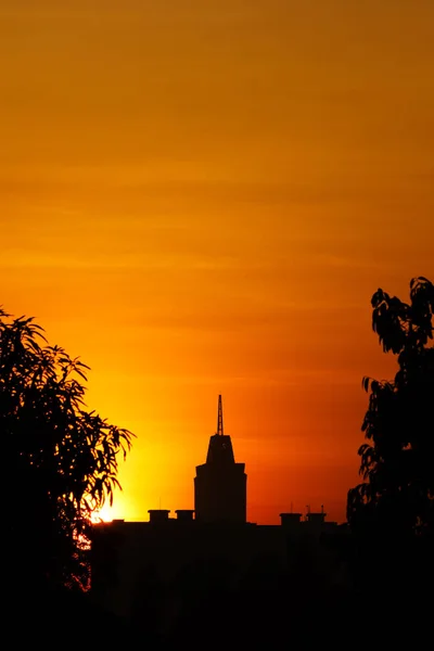 Gebäude Und Blätter Silhouette Mit Dramatischem Sonnenaufgang Himmel Auf Dem — Stockfoto