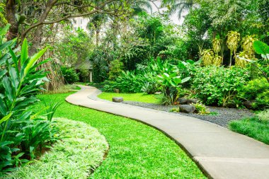 Beautiful green park with concrete winding path for pedestrians. The park is full of various tropical plants from the high trees to the low grass. clipart