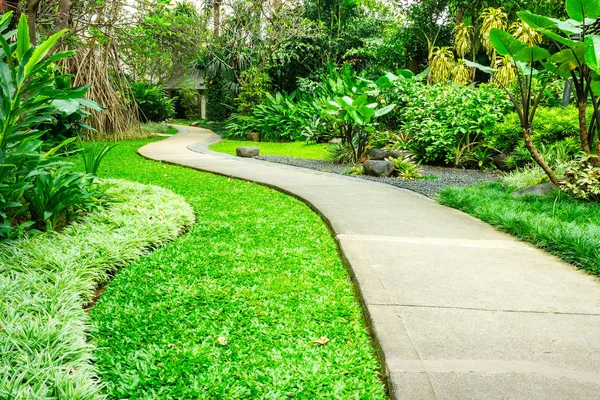 Yayalar için beton sarma yol ile güzel yeşil park. Parkta düşük çim için yüksek ağaçlarından çeşitli tropikal bitki dolu.