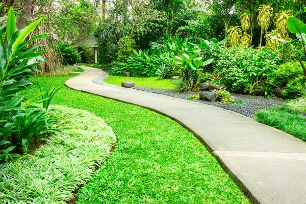 Yayalar için beton sarma yol ile güzel yeşil park. Parkta düşük çim için yüksek ağaçlarından çeşitli tropikal bitki dolu.