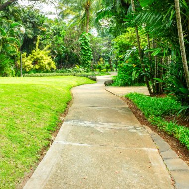 Yayalar için beton sarma yol ile güzel yeşil park. Parkta düşük çim için yüksek ağaçlarından çeşitli tropikal bitki dolu.