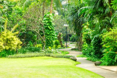 Yayalar için beton sarma yol ile güzel yeşil park. Parkta düşük çim için yüksek ağaçlarından çeşitli tropikal bitki dolu.