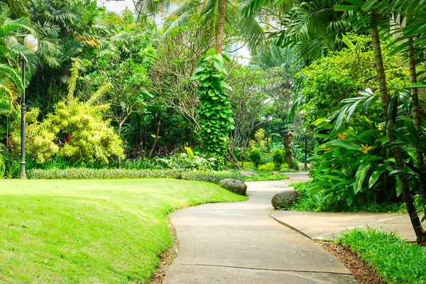 Yayalar için beton sarma yol ile güzel yeşil park. Parkta düşük çim için yüksek ağaçlarından çeşitli tropikal bitki dolu.