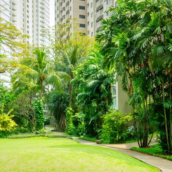 Yayalar için beton sarma yol ile güzel yeşil park. Parkta düşük çim için yüksek ağaçlarından çeşitli tropikal bitki dolu.