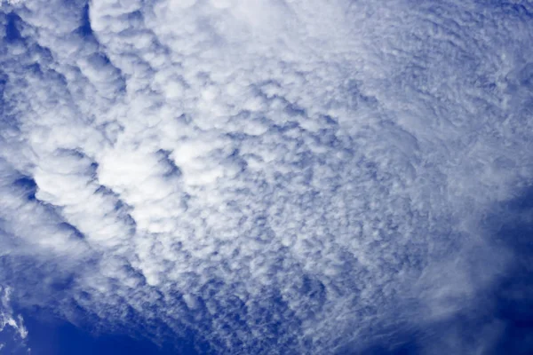 Jakarta üzerinde gökyüzü üzerinde görüldüğü gibi mavi gökyüzü oluşumunda cirrocumulus bulutlar.