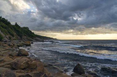 Gündoğumu, nazik kayalık sahil. Bitkiler üzerinde taşlar. Kurşun dalgalar kıyıya rulo.