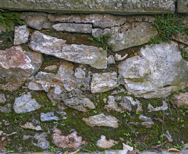 Old Wall Made Stone Blocks Green Moss Grows Surface Old — Stock Photo, Image