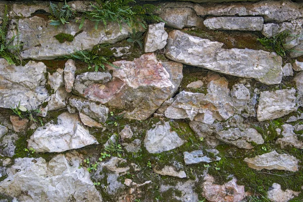 Vieja Pared Está Hecha Bloques Piedra Musgo Verde Crece Superficie —  Fotos de Stock