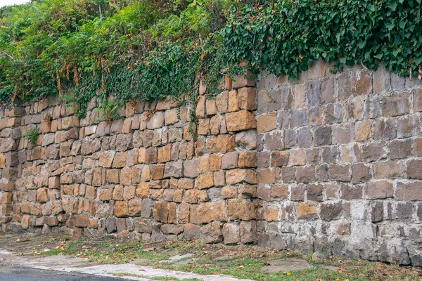 Old Wall Made Regular Shaped Stone Blocks Covered Green Vegetation — Stock Photo, Image