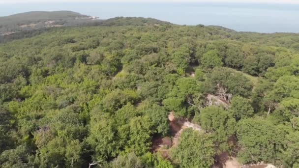 Tirer depuis le drone. La forêt et les formations rocheuses de forme inhabituelle au sommet d'une colline située au bord de la mer.