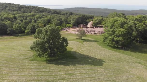 Menembak Dari Drone Hutan Dan Formasi Berbatu Bentuk Yang Tidak — Stok Video
