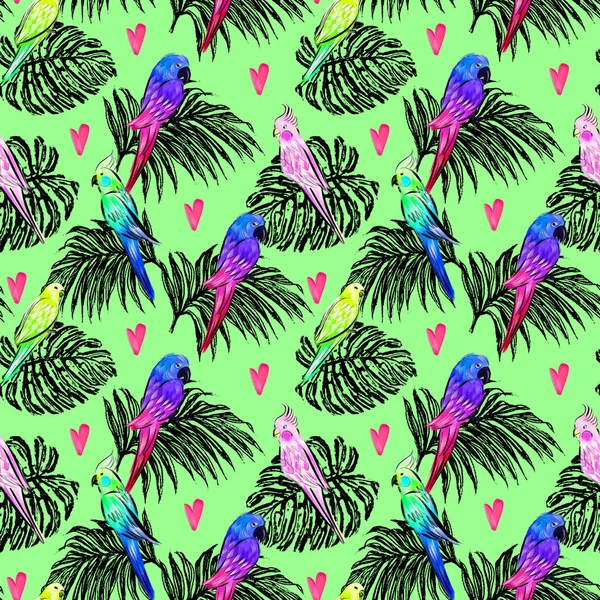 Illustrazione Luminosa Con Pappagalli Design Senza Cuciture Con Uccelli Tropicali — Foto Stock