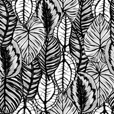 Mürekkep el çekilmiş seamless modeli ile egzotik bitki yaprakları