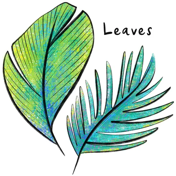 Illustrazione con foglie di giungla. Piante tropicali disegnate a mano . — Foto Stock