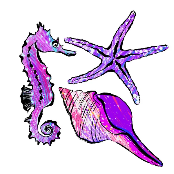Deniz teması üzerine çizimler seti: kabuk, denizyıldızı, denizatı — Stok fotoğraf