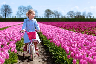 Güzel Mavi paltolu üzerinden Hollanda'da pembe çiçek alan bir güneşli bahar gününde Bisiklete binme sevimli gülümseyen küçük kız. Renkli çiçek açan laleler - Holland, Europe sembolü