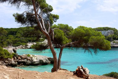 Cala Mitjana, Minorca, Balear Adası, İspanya güzel koyunda. İnsanlar yüzme ve Şnorkelle Dalma turkuaz deniz suyu. Yaz aile tatil için mükemmel bir yer.