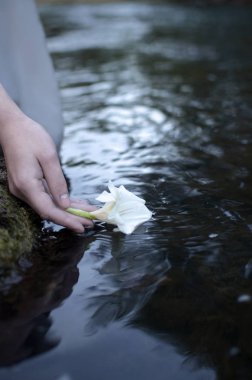 Kadın el güzel beyaz çiçek su bültenleri