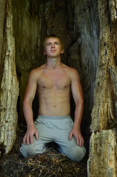 Молодой Человек Рубашки Сидит Медитирует Багажнике Старого Дерева — стоковое фото